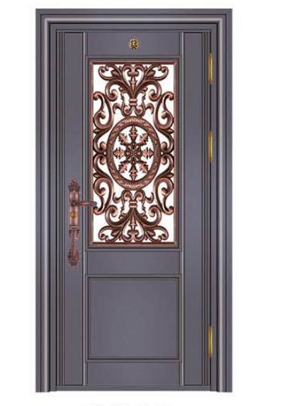 Stainless steel color steel door